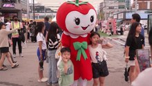 [경기] 광주 퇴촌 토마토거리축제 19일 개막 / YTN