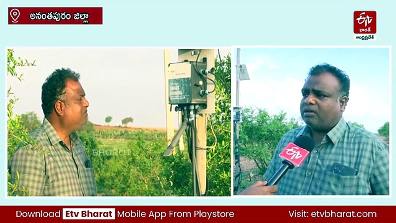 రూ.50 వేల పెట్టుబడి రూ.70 లక్షల రాబడి - కృత్రిమ...