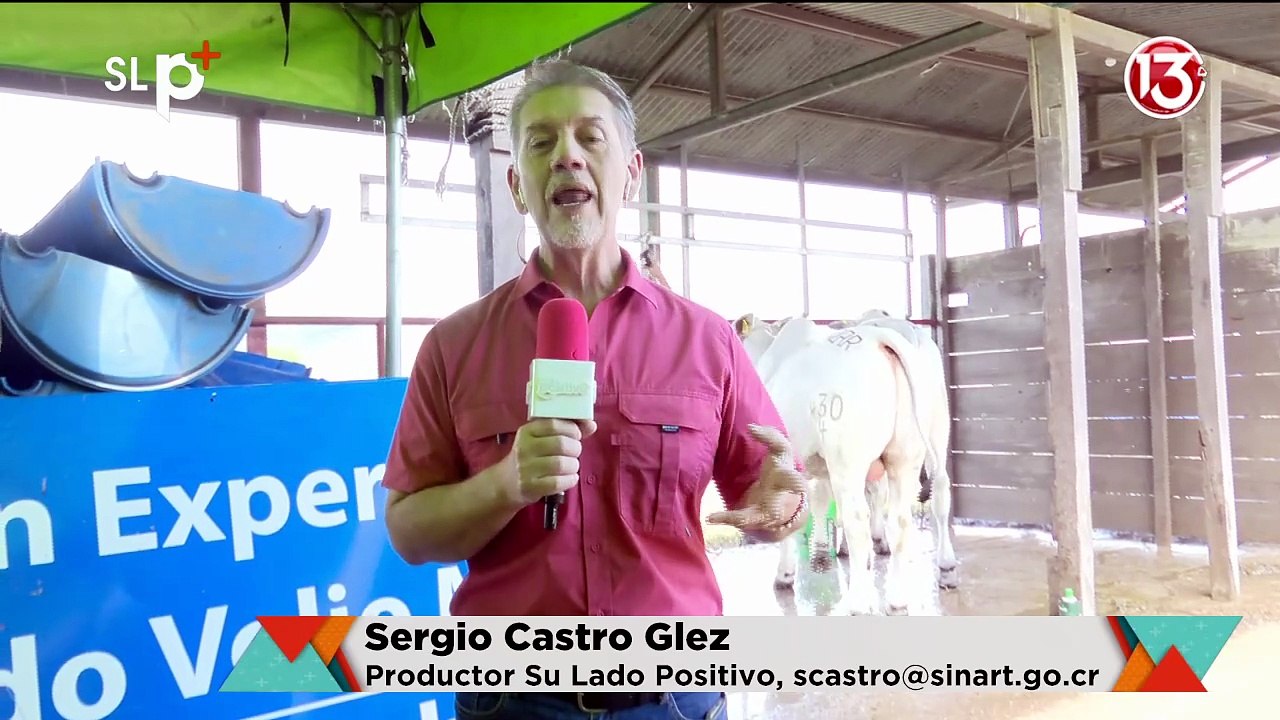 Su Lado Positivo | 5 junio 2026
