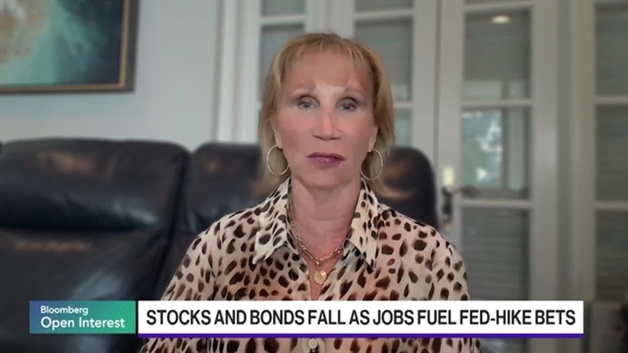 Semiconductor Stocks Got 'Over Their Skis,' Strategist Bartels Says