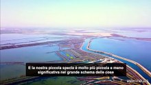 Jeremy Rifkin: siamo un pianeta d'acqua, ripensiamo l'adattamento