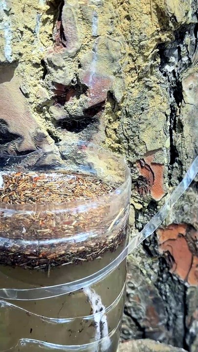 Filtrado de agua por capilaridad