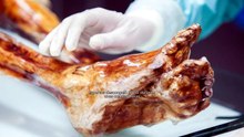 Hay algo “vivo y activo” en la momia Ötzi y eso debería ser imposible porque lleva muerto 5.300 años