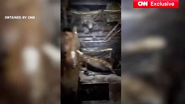 ABD'de örtbas edilen USS Gerald R. Ford gerçeği: Uçak gemisi böyle yanmış