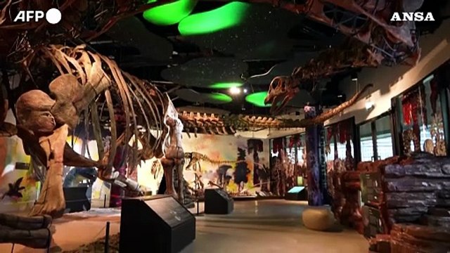Scoperto in Thailandia il piu' grande dinosauro del sud-est asiatico