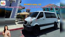 AGD - Review Puerto Rico Island-Wide Transfer – Mercedes ECO Van Service