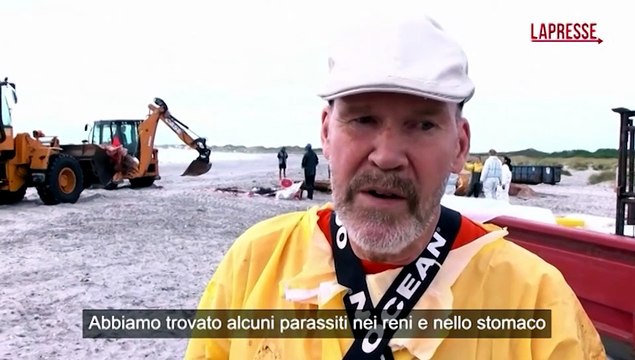 https://s2.dmcdn.net/v/bOdGc1g8iWlKRBcQf/x360