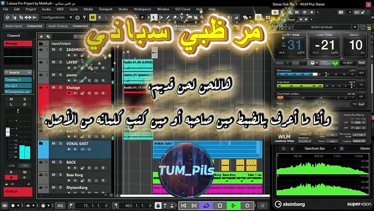 MARRO DZOBYUN C ROST - مرظبي سباني