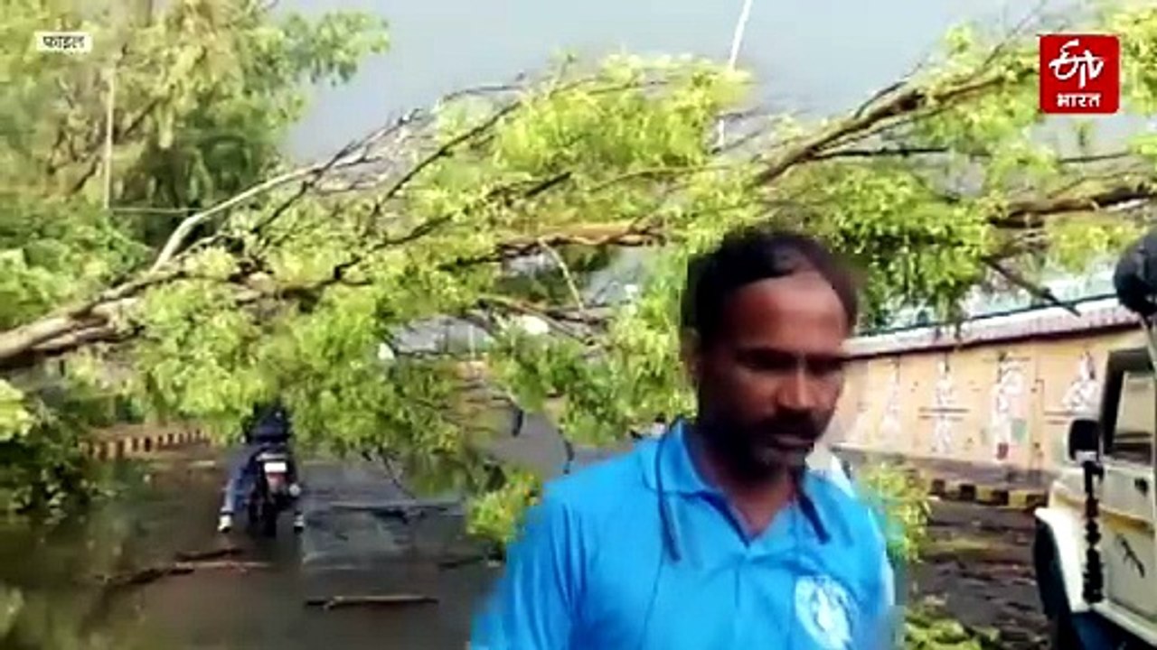 आंधी-बारिश से देशभर में तबाही, 11 राज्यों में पेड़ उखड़े, उड़ानें प्रभावित; केरल में मानसून का असर तेज