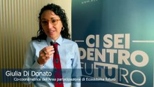 Interviste