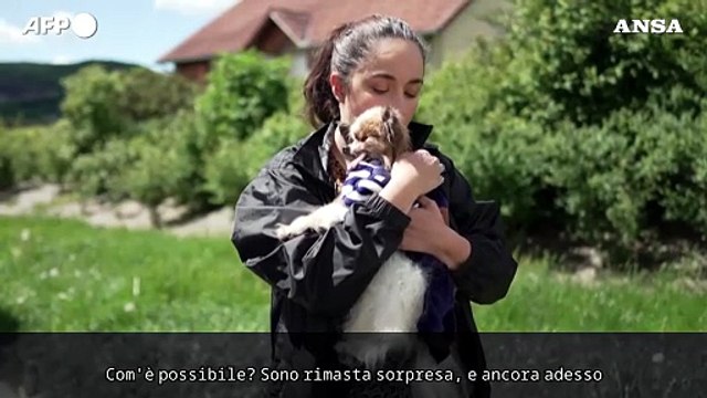 Lazare con i suoi 30 anni e' il cane piu' longevo del mondo