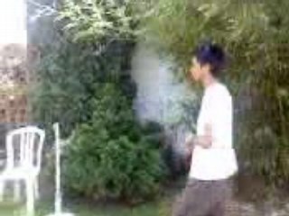 Chez Guillaume (mercredi 11 juin 2008)