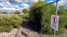 In Australia un centro per la quarantena costruito per l'Hantavirus