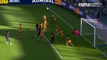 Parma Roots - Pellegrino