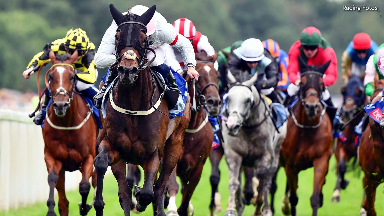 Breeders' Cup Breakthrough: Willie Mullins Reflects on Historic Upset