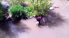 Kars Çayı'na düşen köpeği itfaiyeciler kurtardı