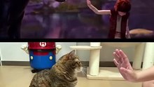 This How to Train Your Dragon Remake Is Crazy 🔥🐉