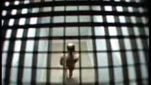 Arends (1997)