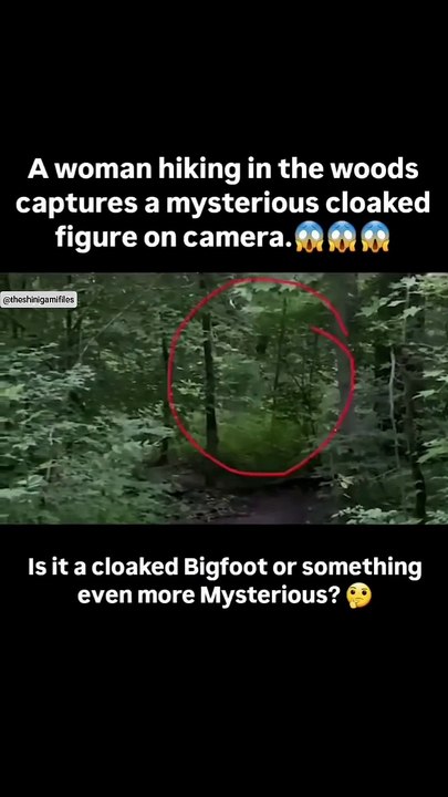 A woman was hiking noticed something unusual, a strange shimmering shape hidden between the trees.