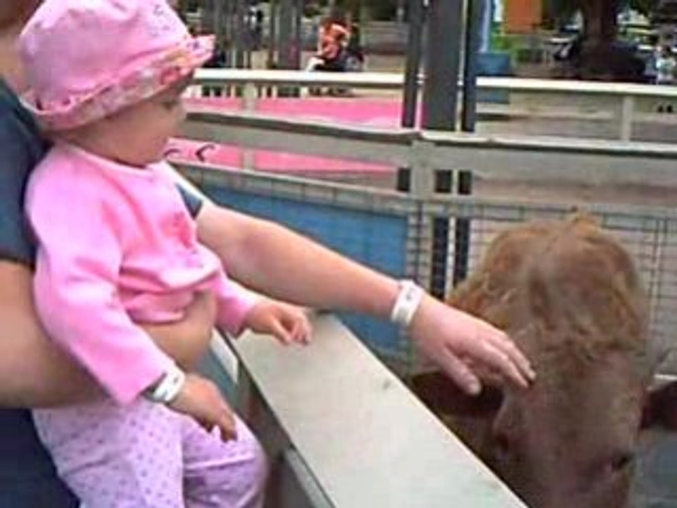 17 juin 2008