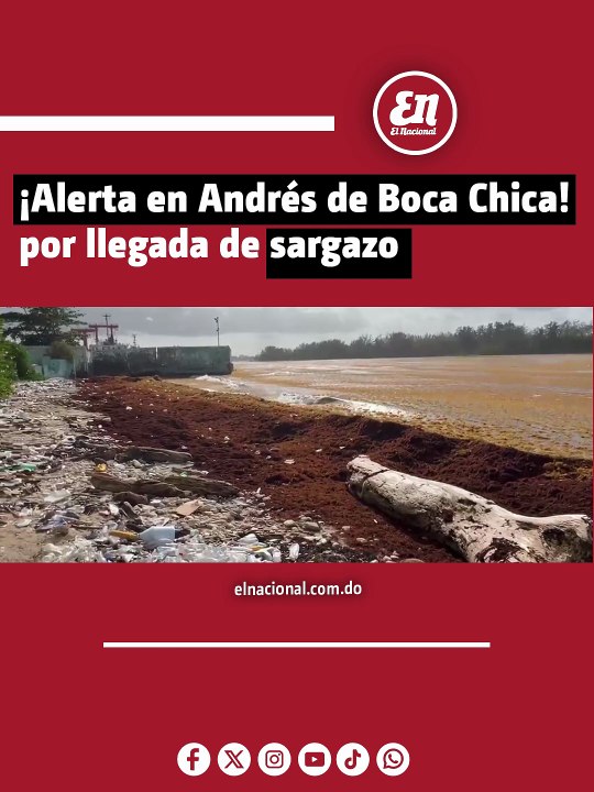 ¡Alerta en Andrés de Boca Chica! por llegada de sargazo