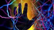 Why Your Brain Picks Toxic Partners 🔥