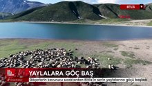 Bitlis'te göçerlerin kavurucu sıcaklardan Bitlis'in serin yaylalarına göçü başladı