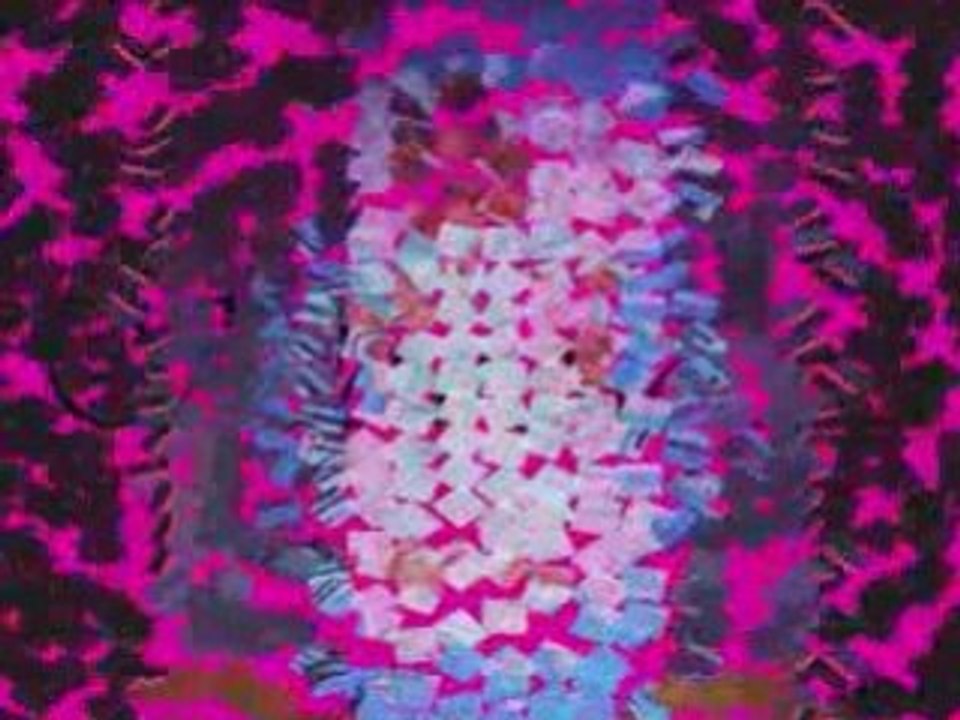 Cette année 2007-2008