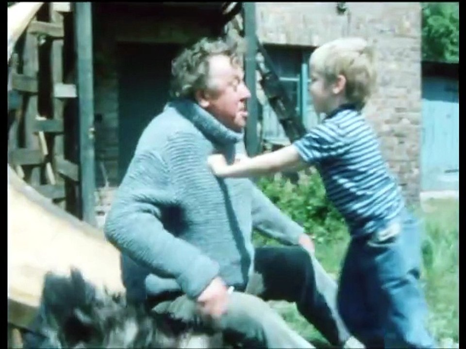 Sprache der Vögel (DDR 1991)
