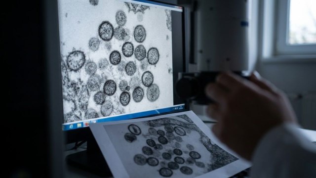CDC Tracks Dangerous Hantavirus Outbreak — US Travelers Relocated to Nebraska Center