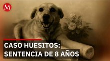 Condena de 8 años para agresor de Huesitos marca precedente legal en Puebla
