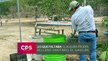 ¡Clausuran parcialmente relleno sanitario El Gavilán! | CPS Noticias Puerto Vallarta