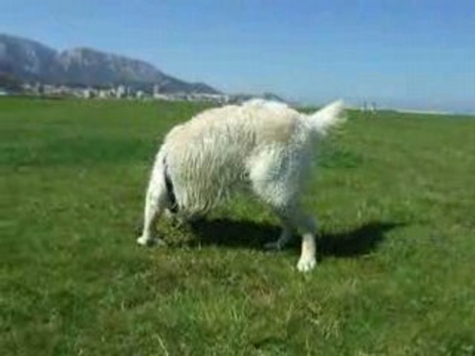 DSCF6941