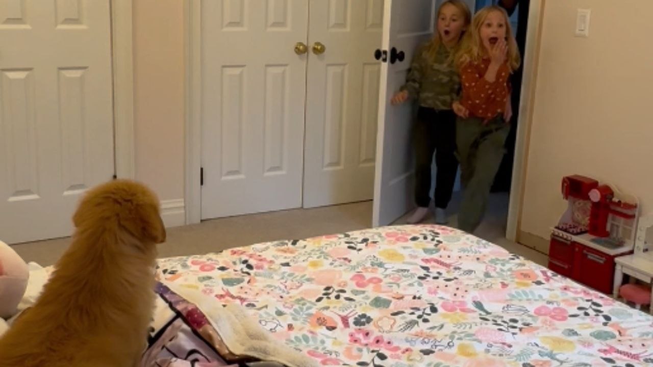 Touching Moment: Little Girls Sobbing with Joy Meeting Their Golden Retriever Pup