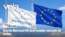 Acordo Mercosul-UE deve ampliar mercado de vinhos, diz diretor da Wine South America