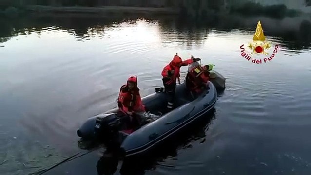 Mucca in difficolt? salvata dalle acque del Coghinas grazie all'intervento dei Vigili del Fuoco