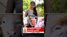 ಜಗತ್ತಿನಲ್ಲಿದ್ದಾರೆ ಇಬ್ಬರು ಡೊನಾಲ್ಡ್ ಟ್ರಂಪ್ | #donaldtrump #buffalo #bangladesh #suvarnanews