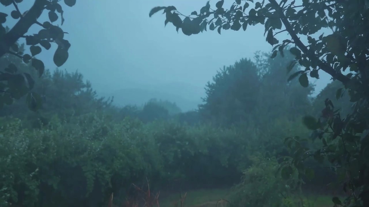 Solo Camping in Heavy Rain with My Dog | Terrifying Storm ASMR #RainCamping #CampingWithDog #StormCamping