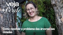 Árvore na rua reduz poluição dentro de casa - Aline Cavalari, da Unifesp