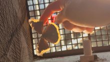 Woman Saves A Butterfly — And They Both Have A Moment
