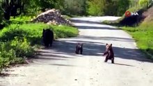 Kardeşlerin anne ayı ve yavruları ile sohbeti gülümsetti