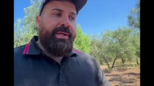 Michele monopoli  story eccoci di nuovo nel  mio  abitat