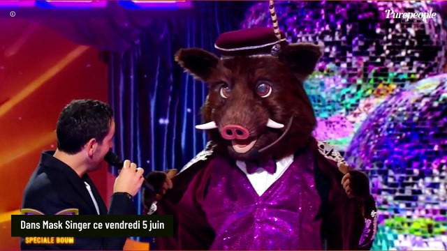 Mask Singer 9 : L'aventure est terminée pour le Sanglier, une personnalité télé que l'on ne présente plus se cachait sous ce costume