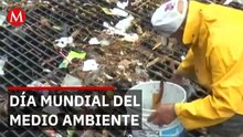 Día Mundial del Medio Ambiente, ¿cuántos  y cuáles países lo conmemoran?