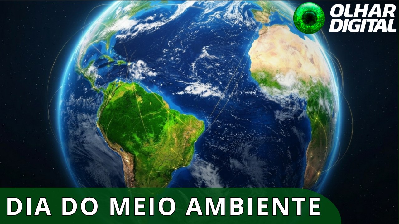 Dia Mundial do Meio Ambiente: a complexa rede de acordos e tratados internacionais