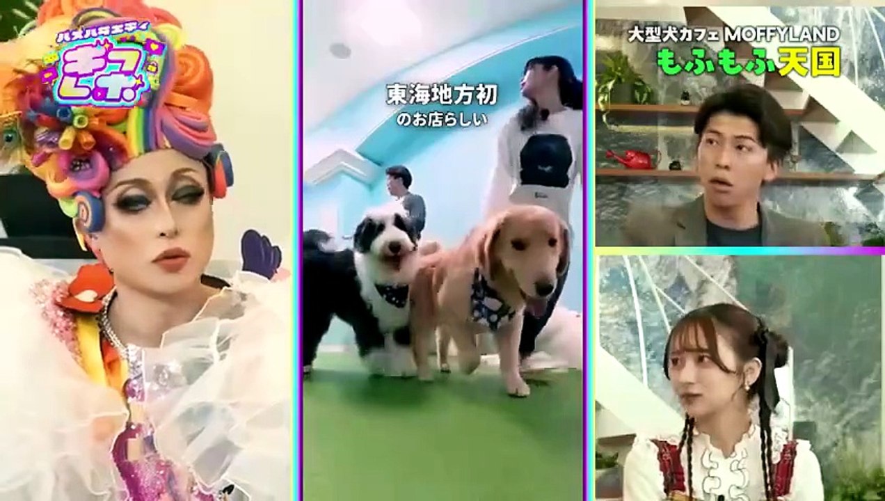 ギフレボ もふもふの大型犬に癒される幸せ空間／盛りすぎ注意！？流行りの量り売りフード／ショートドラマ2本立て！「面接で聞いた - 2026年05月22日~6058689b | Full Short Drama | English Sub 2026 [Full Movie]