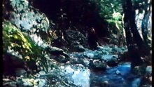 Μαγεμένοι (1995)