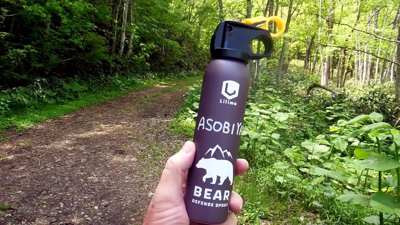 Hunting for Fossils in Hokkaido Japan!