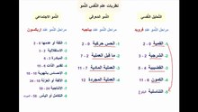 مراحل النُّمو عند فرويد وبياجيه وإريكسون