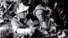 Πρέπει να τα παντρέψουμε (1953)